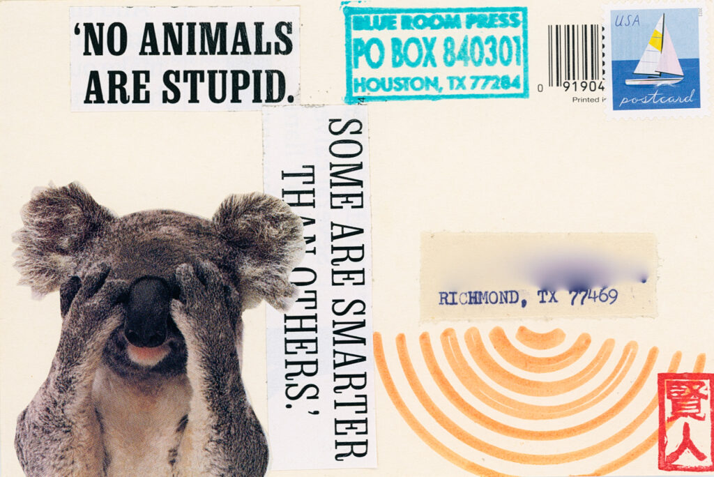20250627 POSTCARDS (4)