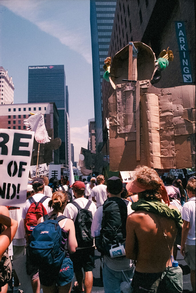 20250711 Image 1 (2)