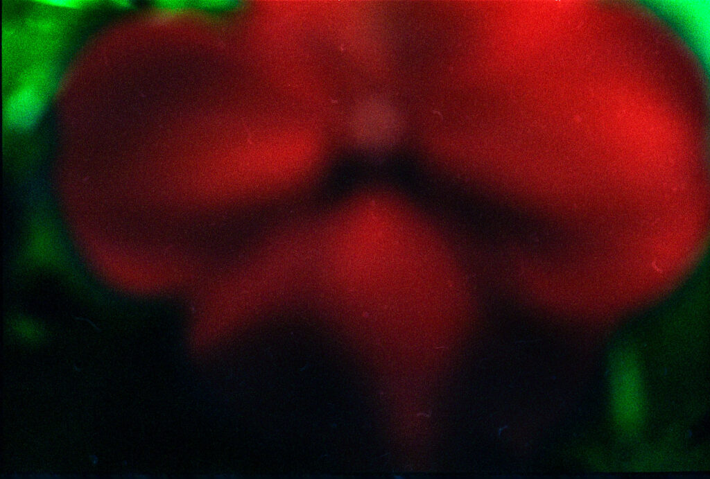 20250711 Image 12 (3)