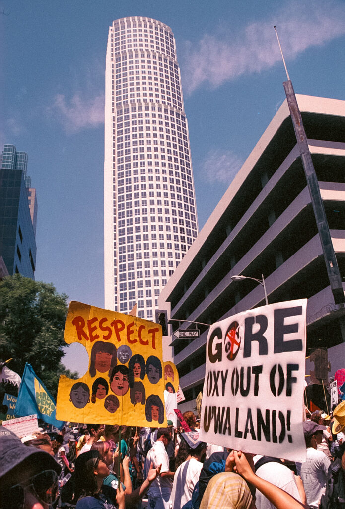 20250711 Image 4 (3)