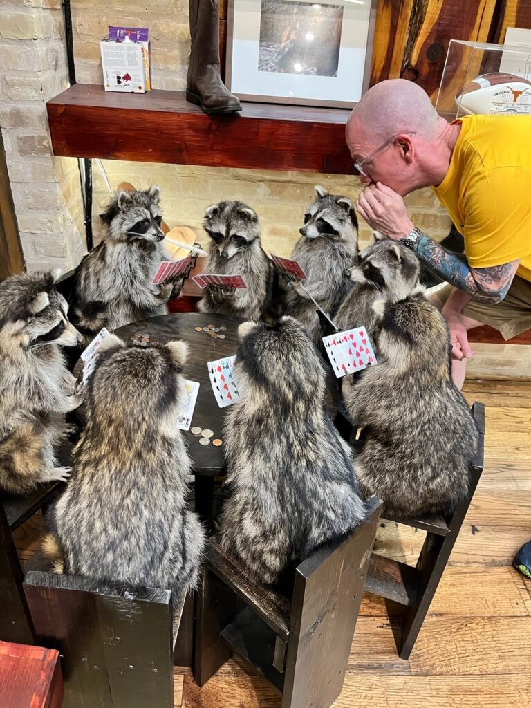 IMG 3962