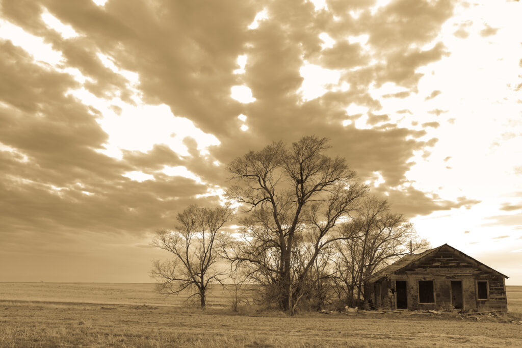 cdub0098jpg 13944281184 o