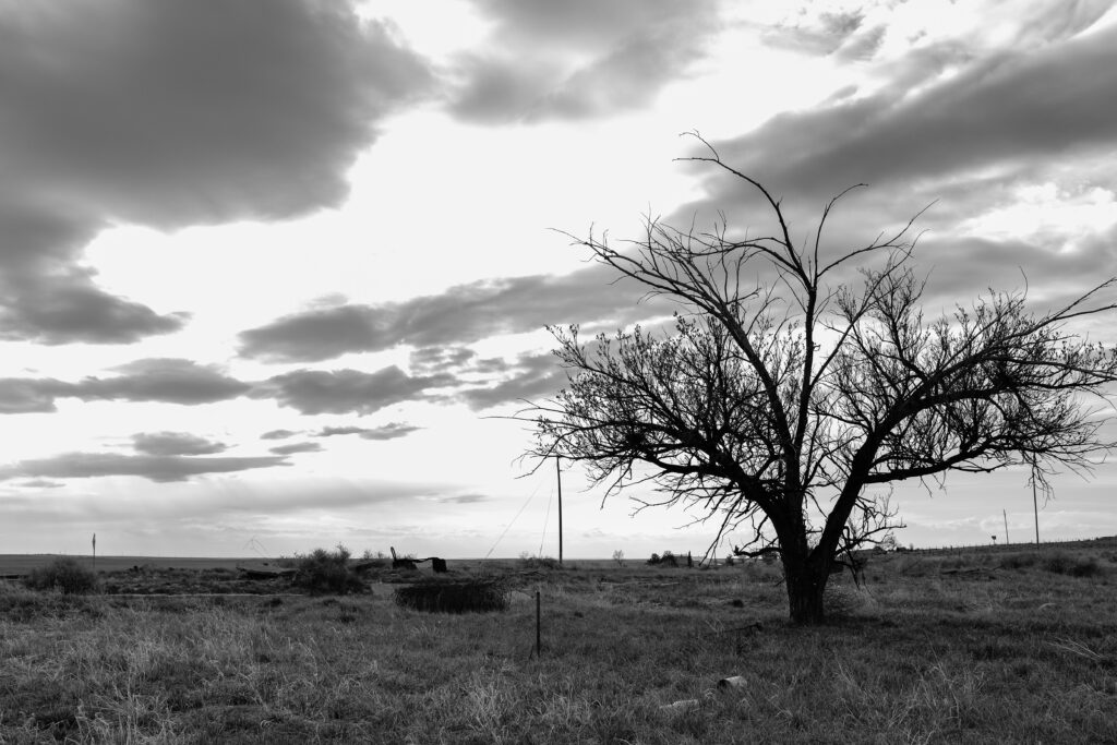 cdub0108jpg 13920728241 o