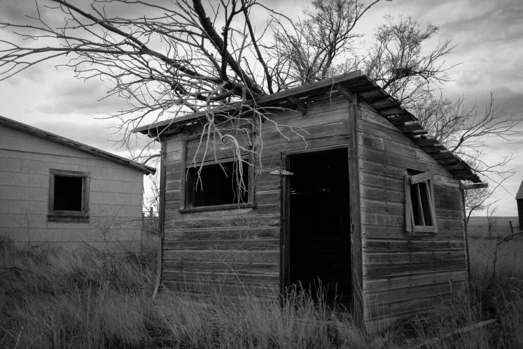 cdub0125jpg 13920786282 o