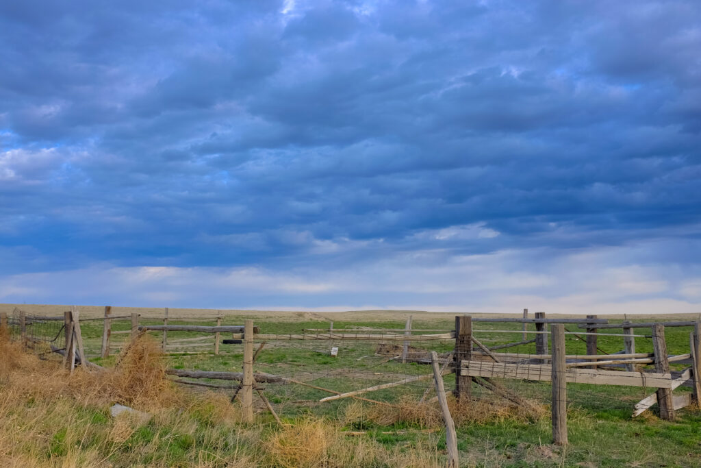 cdub0128jpg 13920787461 o