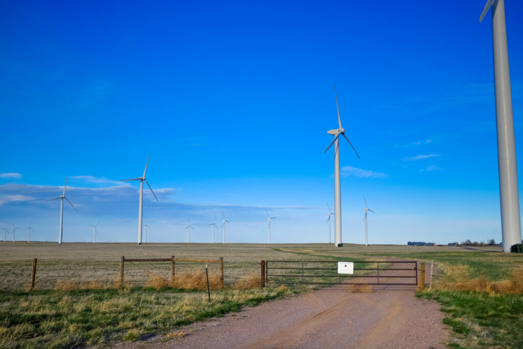 cdub0221jpg 14035563833 o