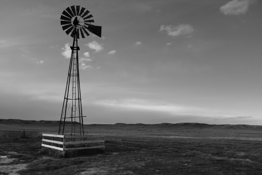 cdub0231jpg 14012398761 o