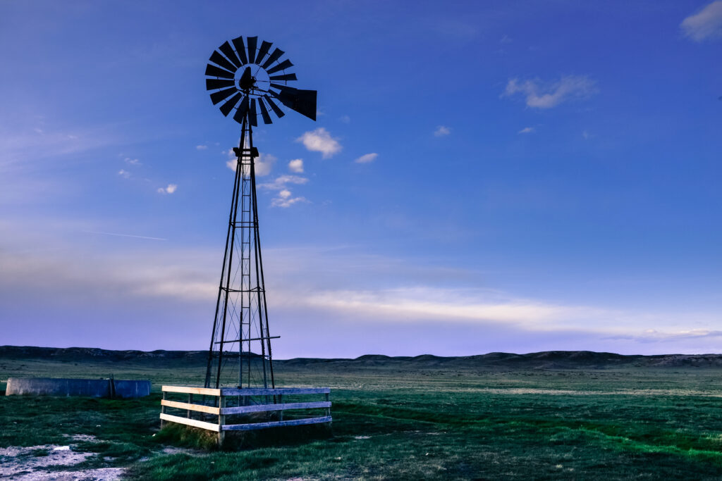 cdub0232jpg 14035592213 o