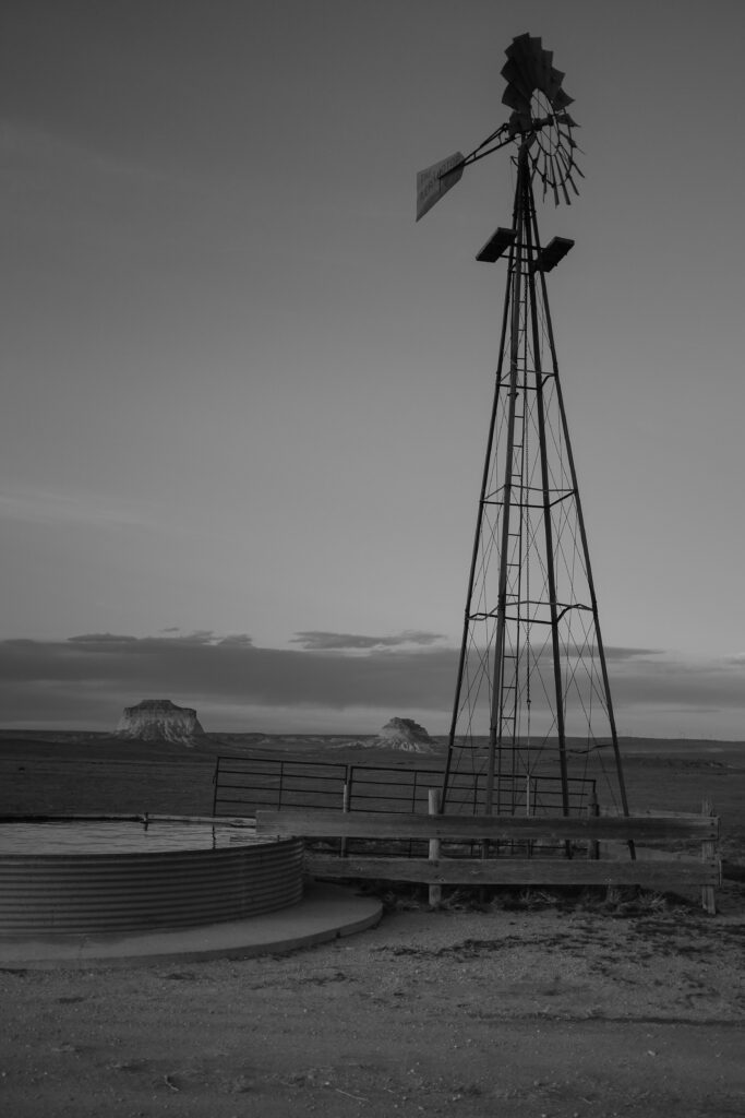 cdub0249jpg 14012401042 o