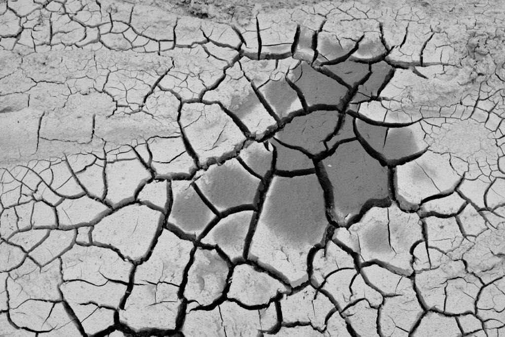 cdub0540jpg 14301206382 o