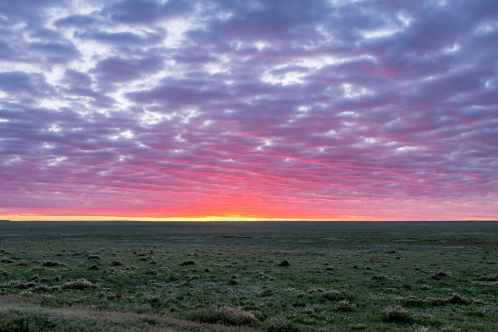 cdub0584jpg 14246844889 o