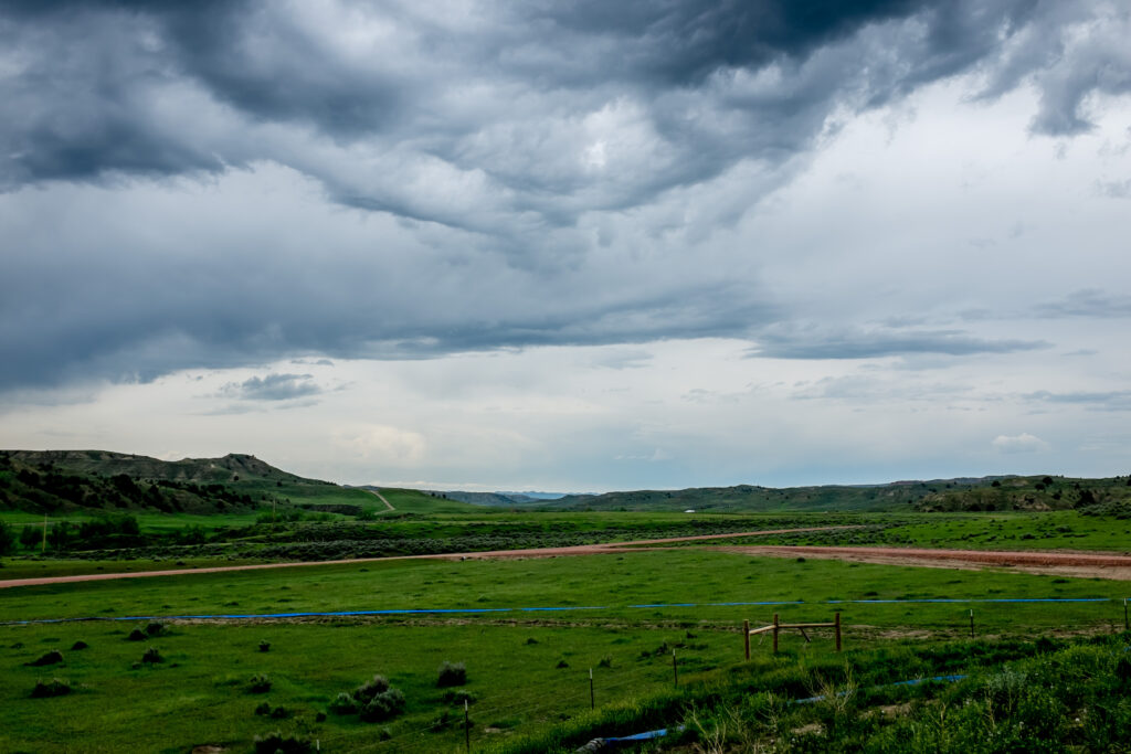 cdub0587jpg 14432177172 o