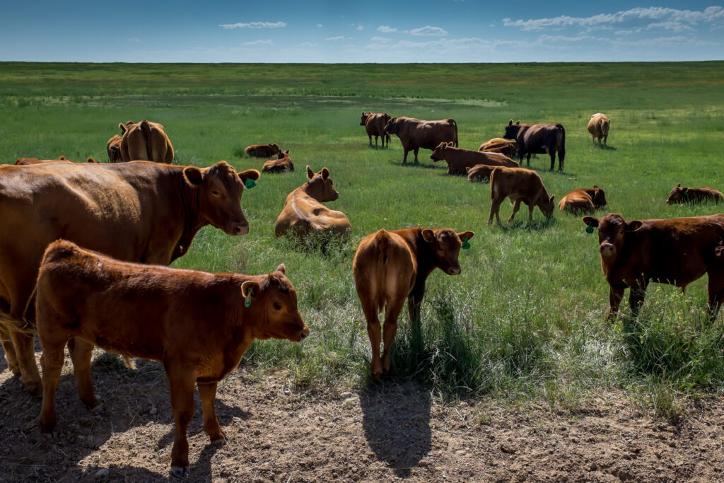 cdub0594jpg 14410379156 o