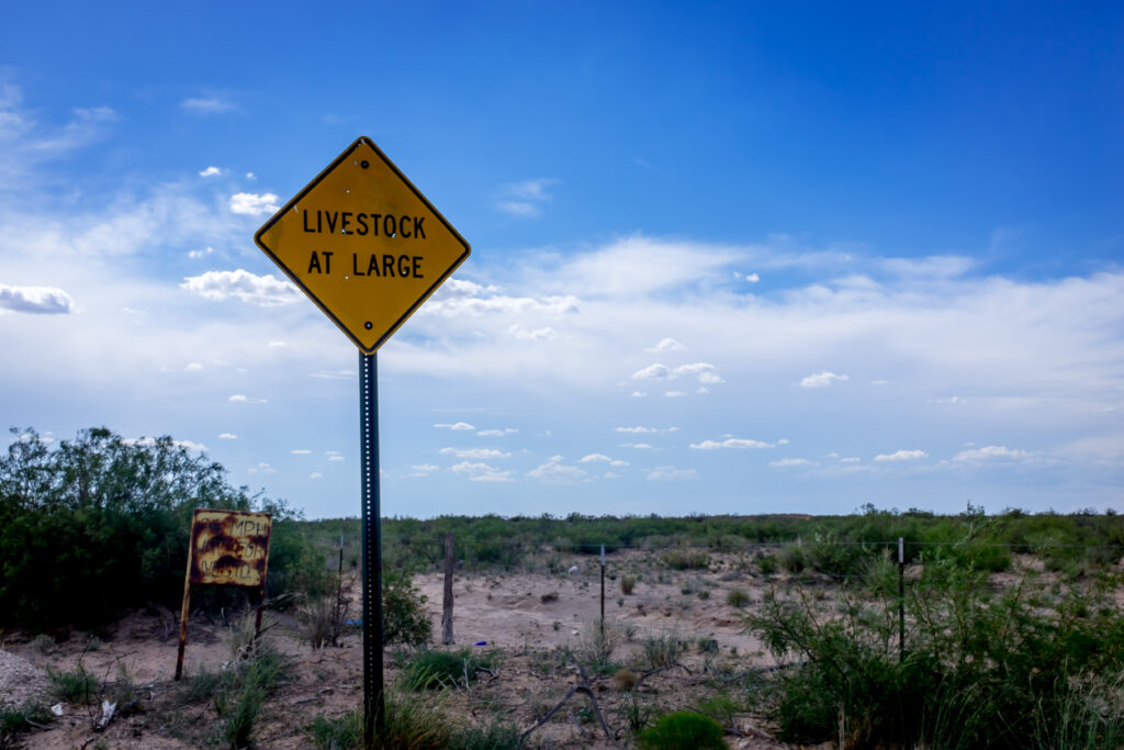 cdub0745jpg 15069503602 o