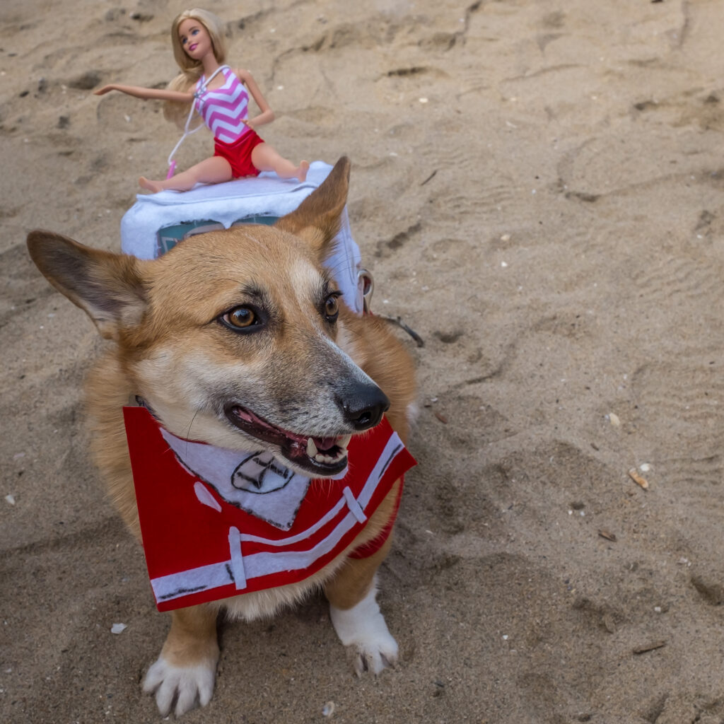 cdub1157jpg 30533936292 o