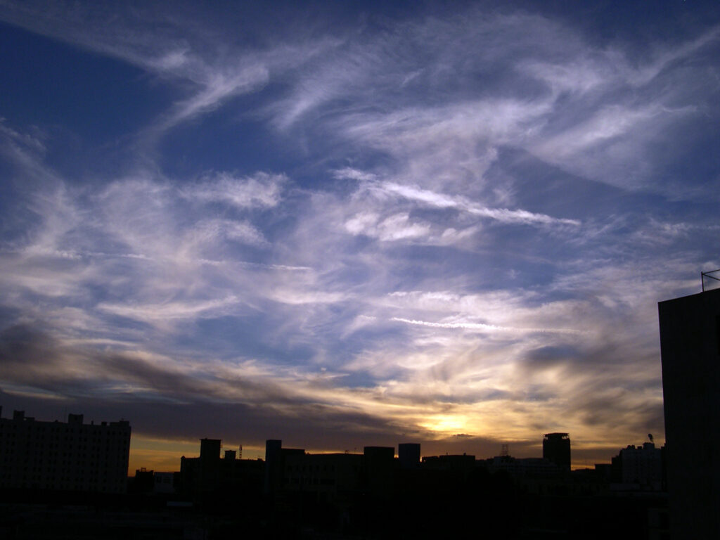 rooftop sunset LA2